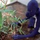 [Actu] À Ouagadougou, la biennale de la sculpture rempile