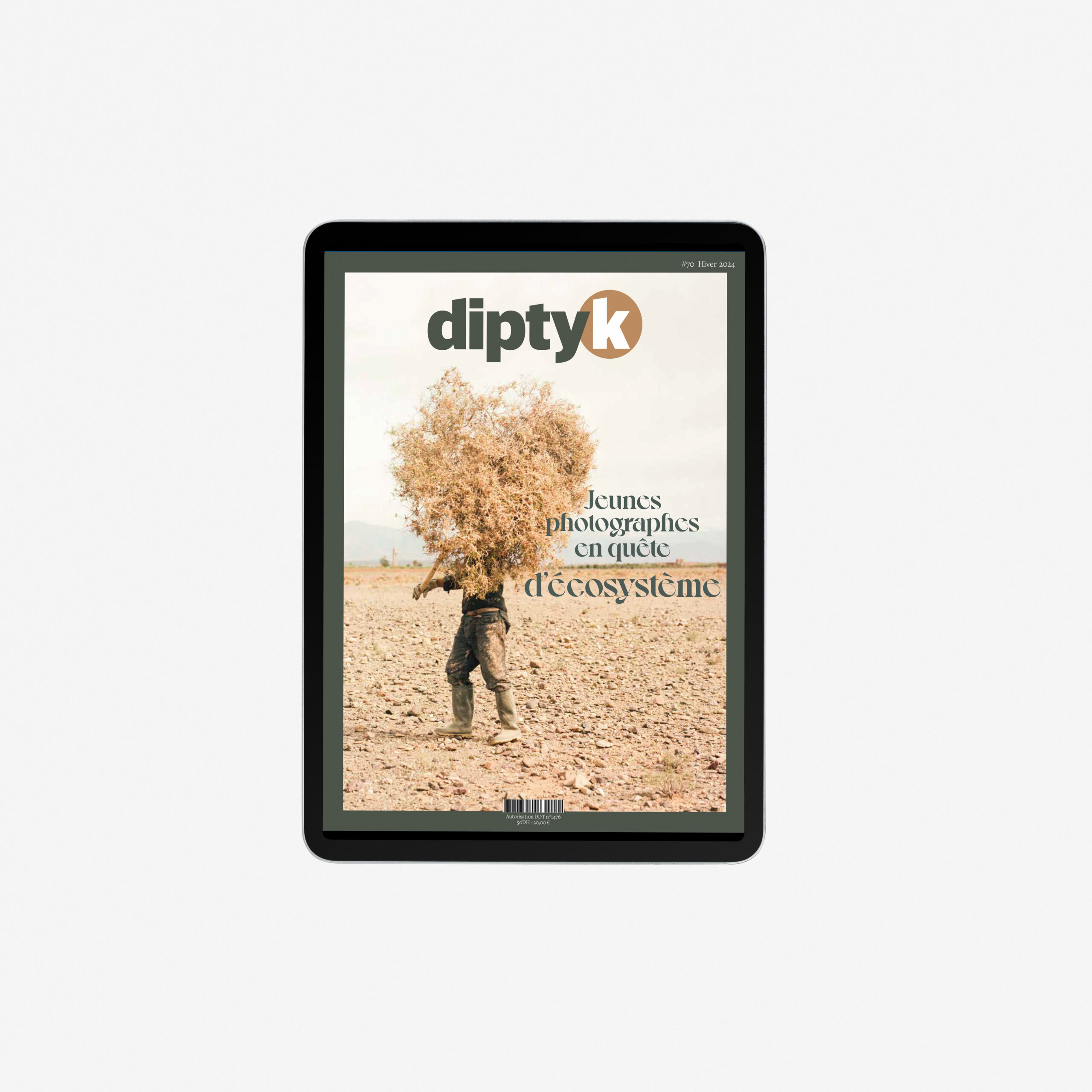 Diptyk #70 pdf