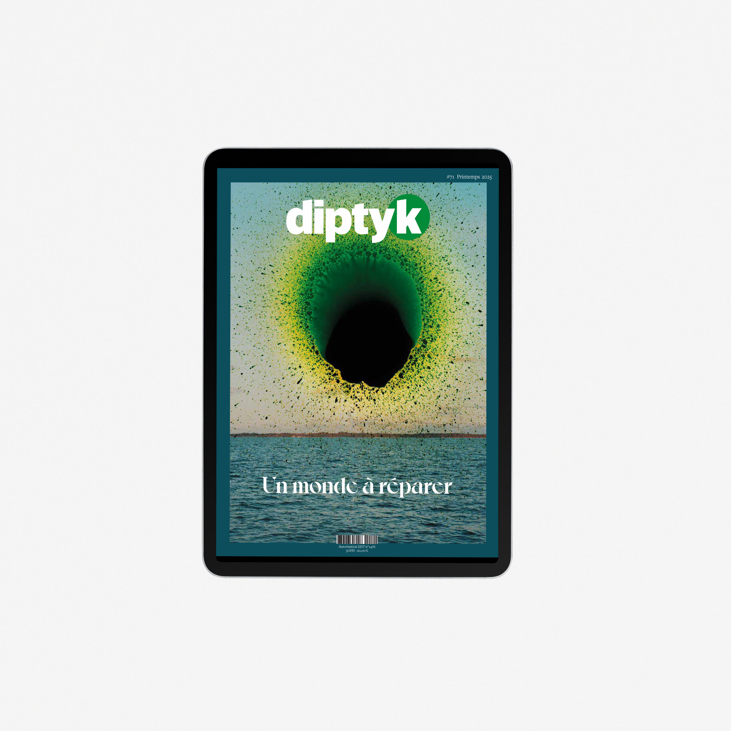 Diptyk #71 pdf