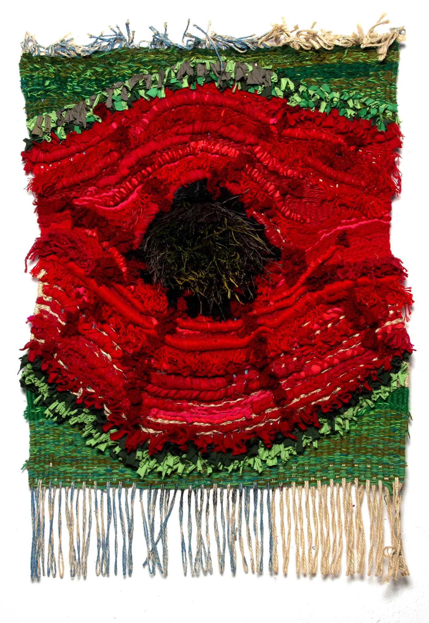 Mostafa-Maftah-Anemone-