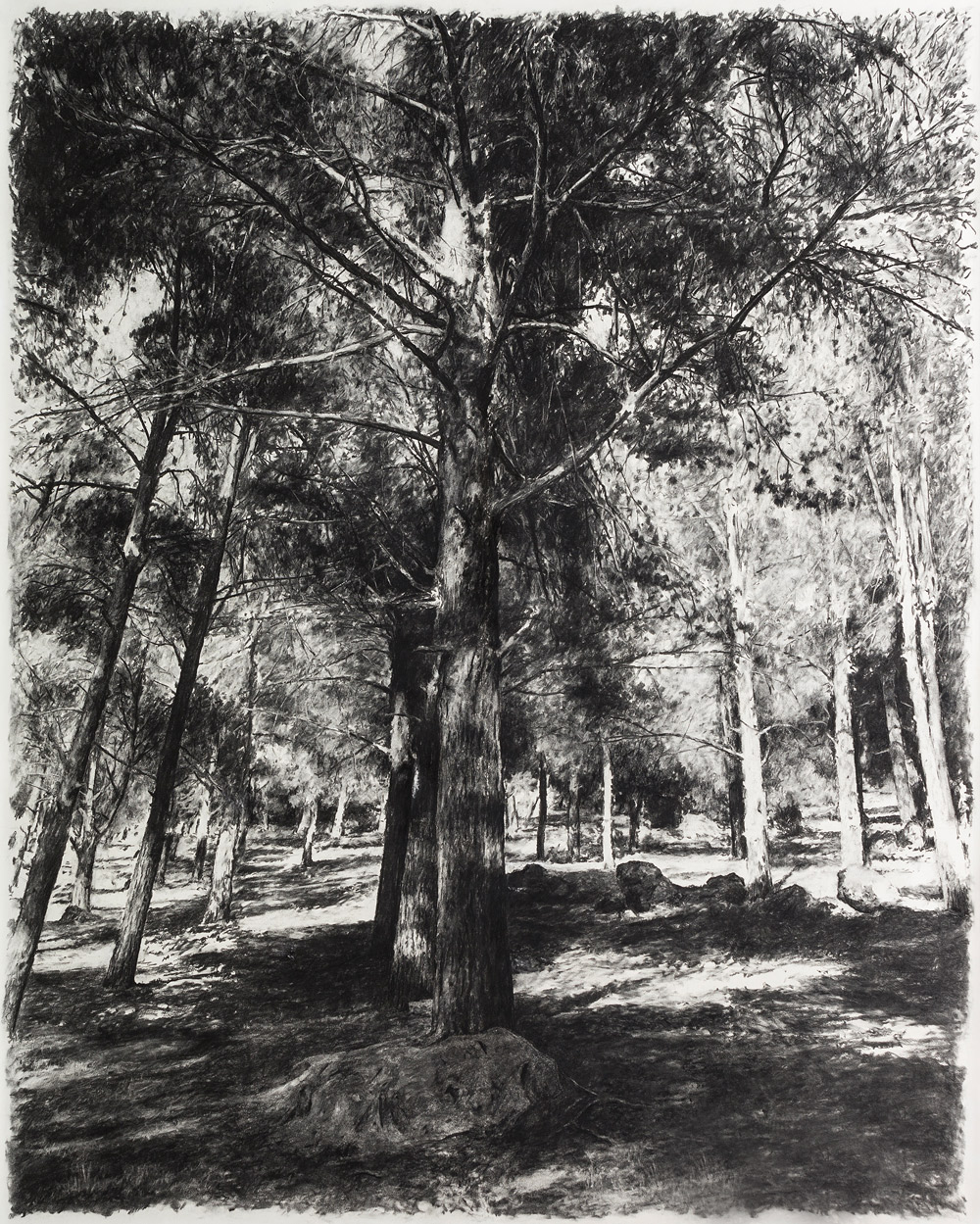 8--Fusain-sur-papier-marouflé-sur-toile-250-X-200-cm-Boulemene-2023-2024---modif-08