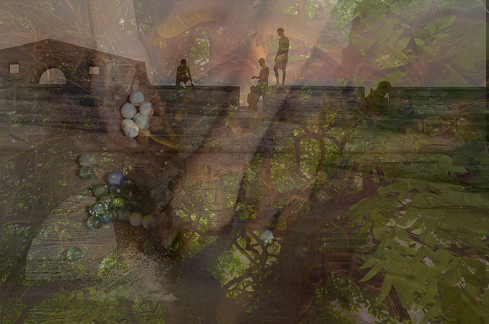 dans-la-forêt2