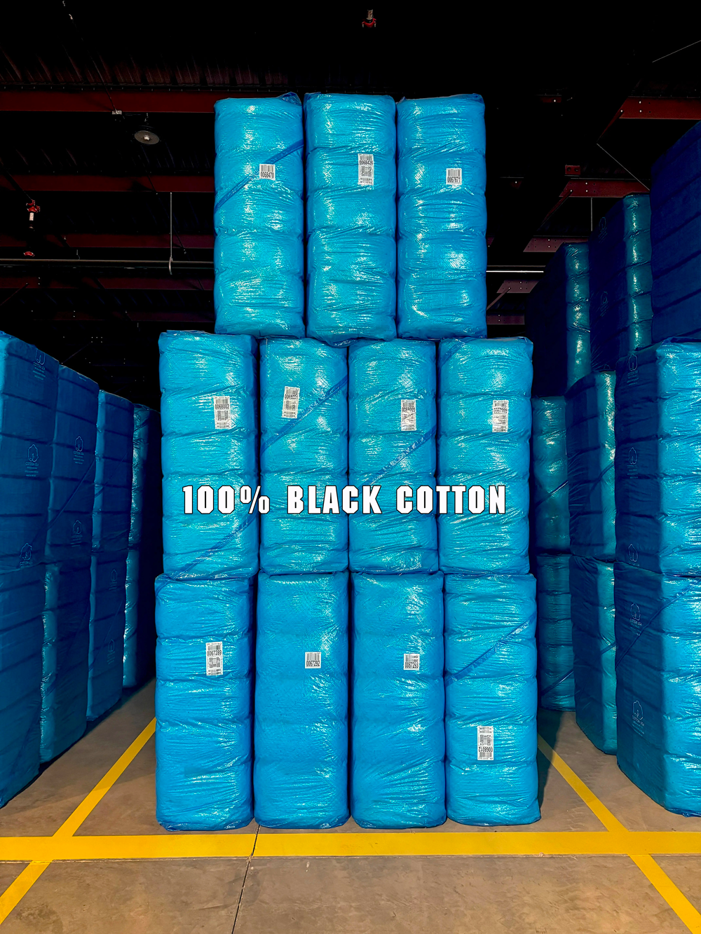 1.-Black-Cotton.jpg