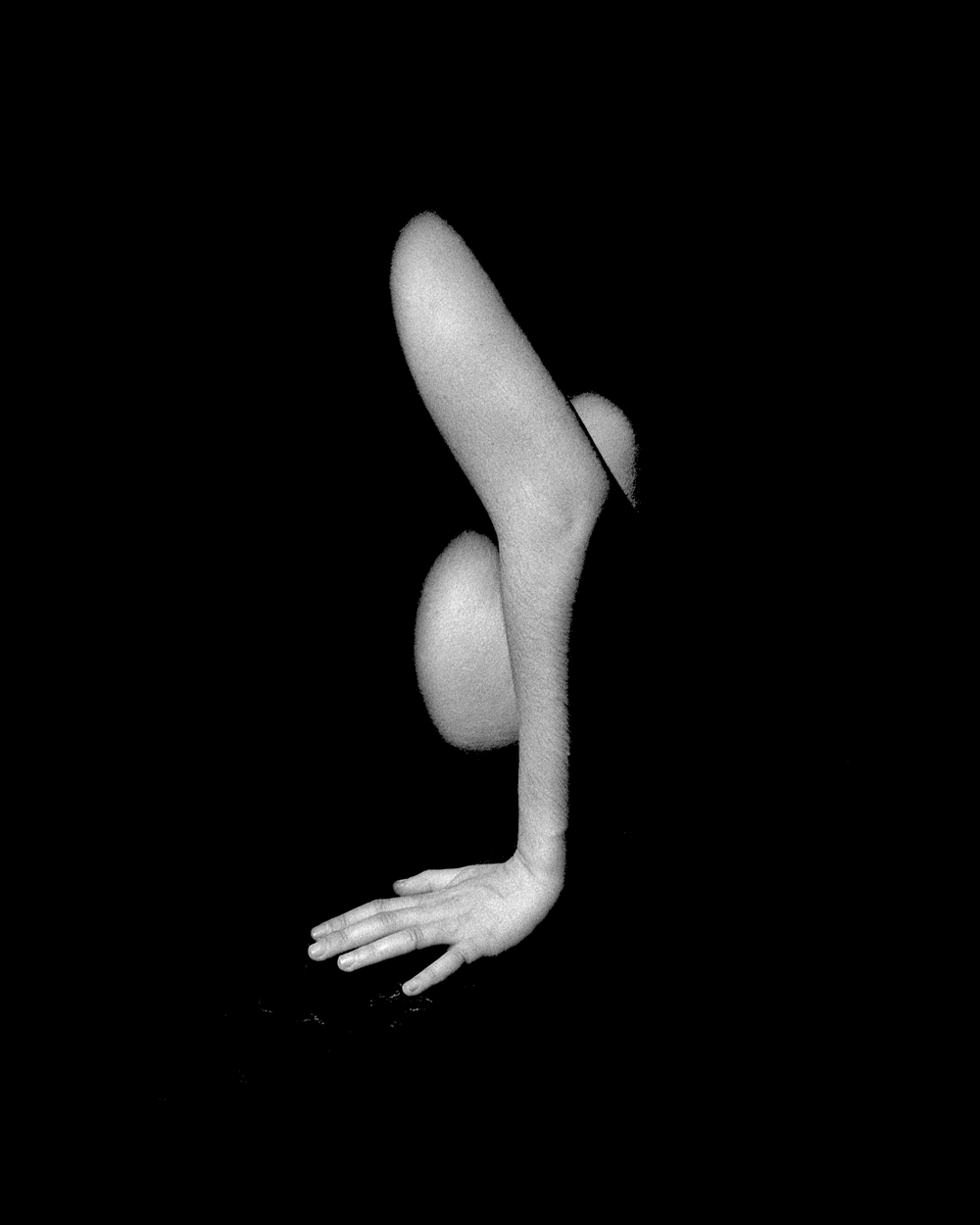 Lamia-Naji--1