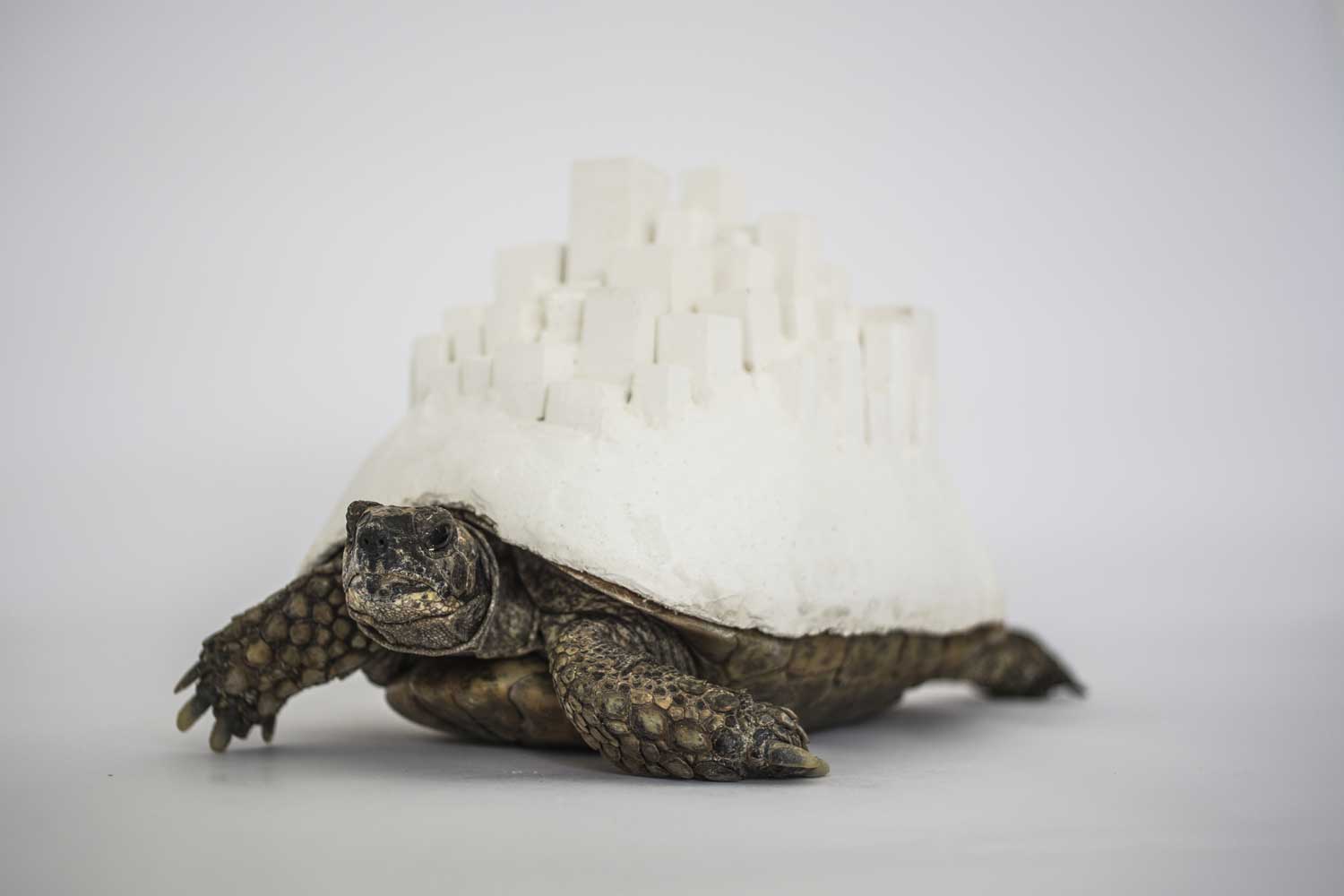 Ville-Tortue, 2018, sculpture en plâtre, 15 × 20 × 13 cm. Courtesy de l’artiste.