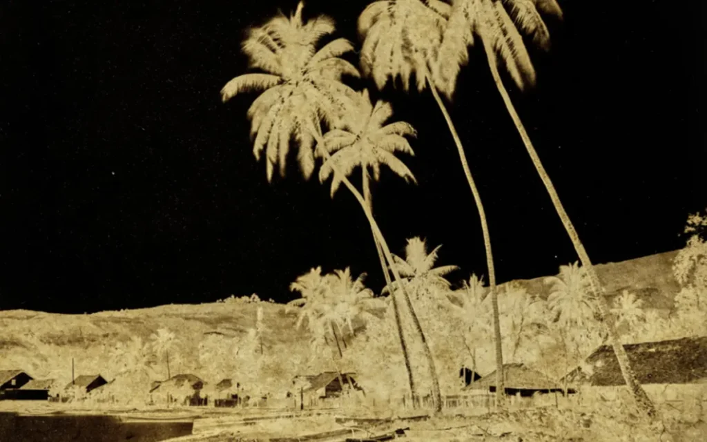 « Voir Tahiti – Premières photographies 1859-1870 »